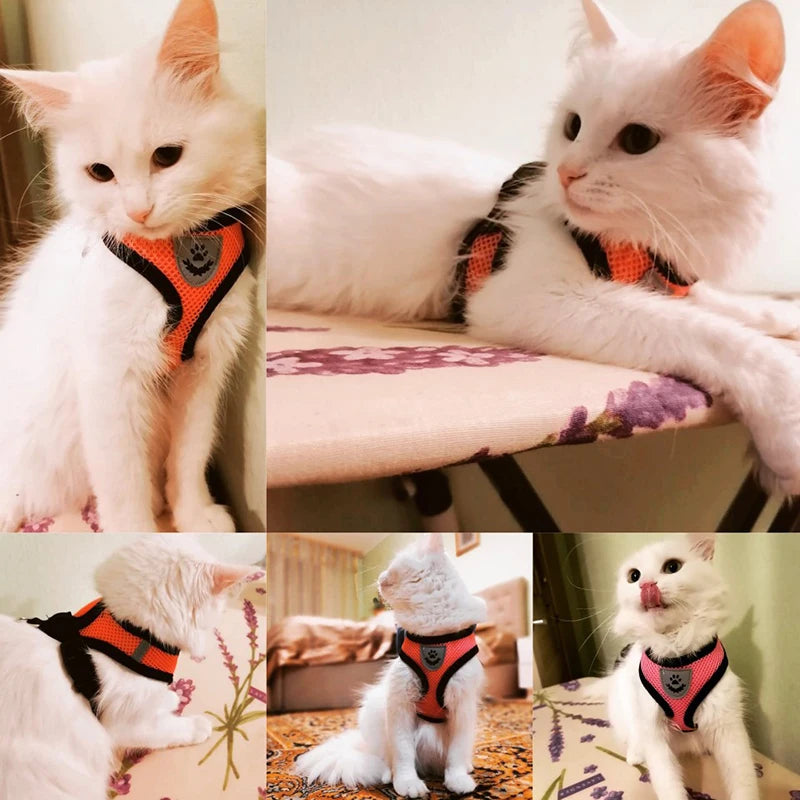 Adjustable Vest Polyester Mesh Breathable Harnesses Reflective for Pet