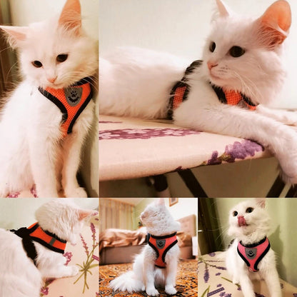 Adjustable Vest Polyester Mesh Breathable Harnesses Reflective for Pet