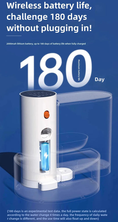 Automatic Water Feeder for Pet