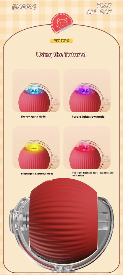 Rolling Ball Toys for Cats