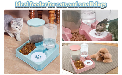 2 In 1 Tilted Automatic Pet Food And Water Feeder Gravity Food Feeder and Waterer