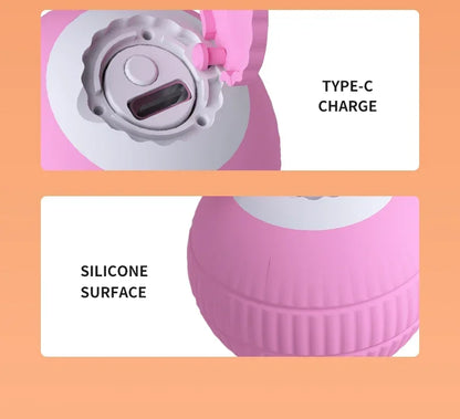 Rolling Ball Toys for Cats