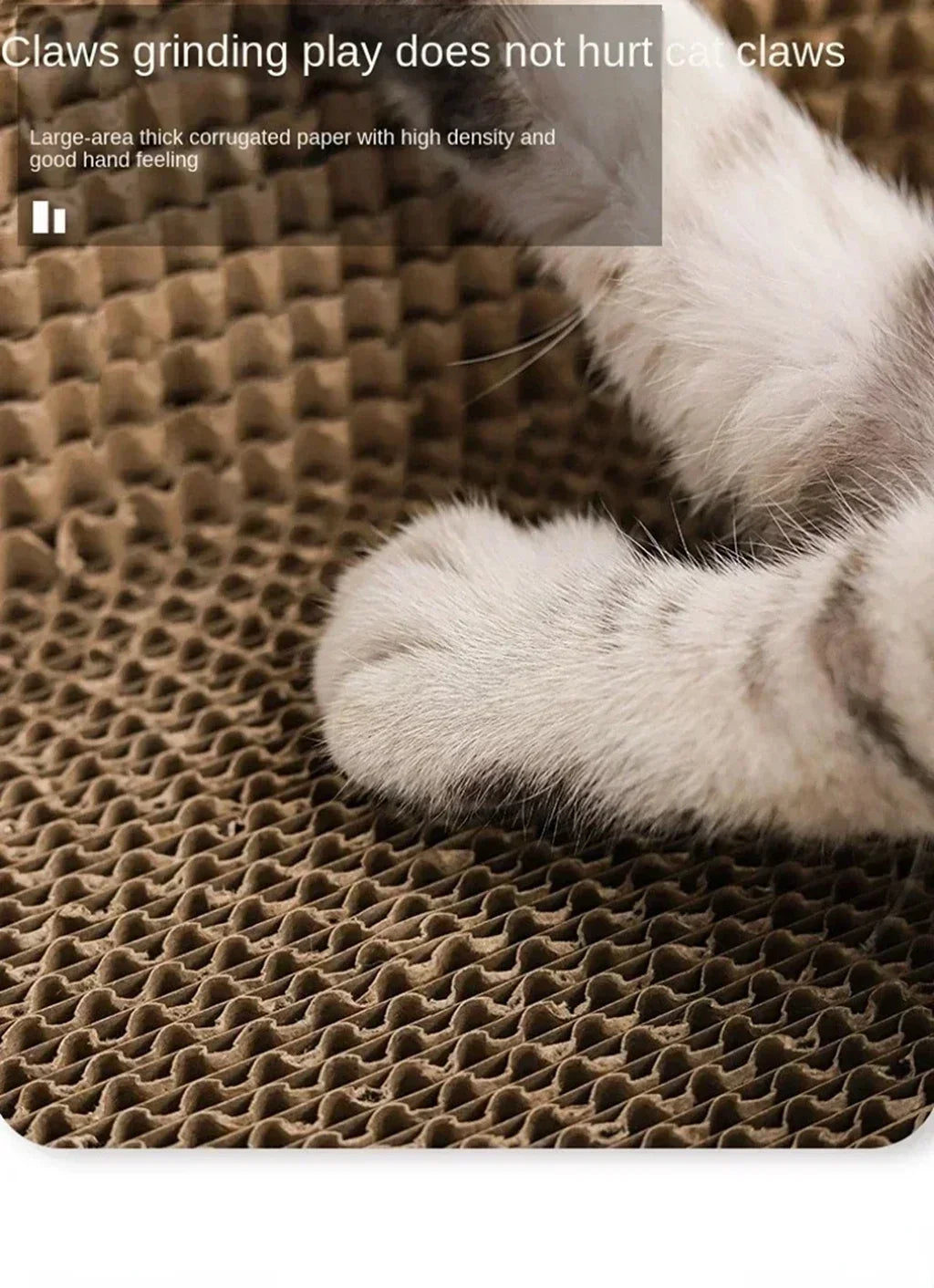 Cat Scratching Board