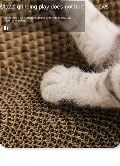 Cat Scratching Board