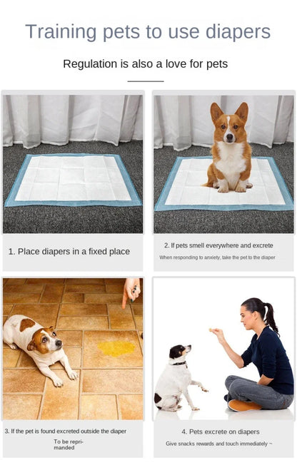 Disposable Puppy Training Pee Pads – Leak-Proof & Quick-Dry Mats