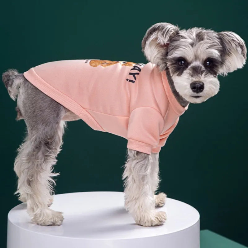 Winter Pullover Sweatshirt Bear Pattern Pet Jacket