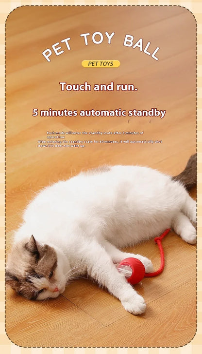Rolling Ball Toys for Cats
