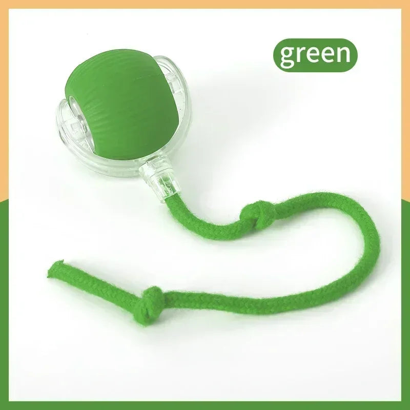 Rolling Ball Toys for Cats