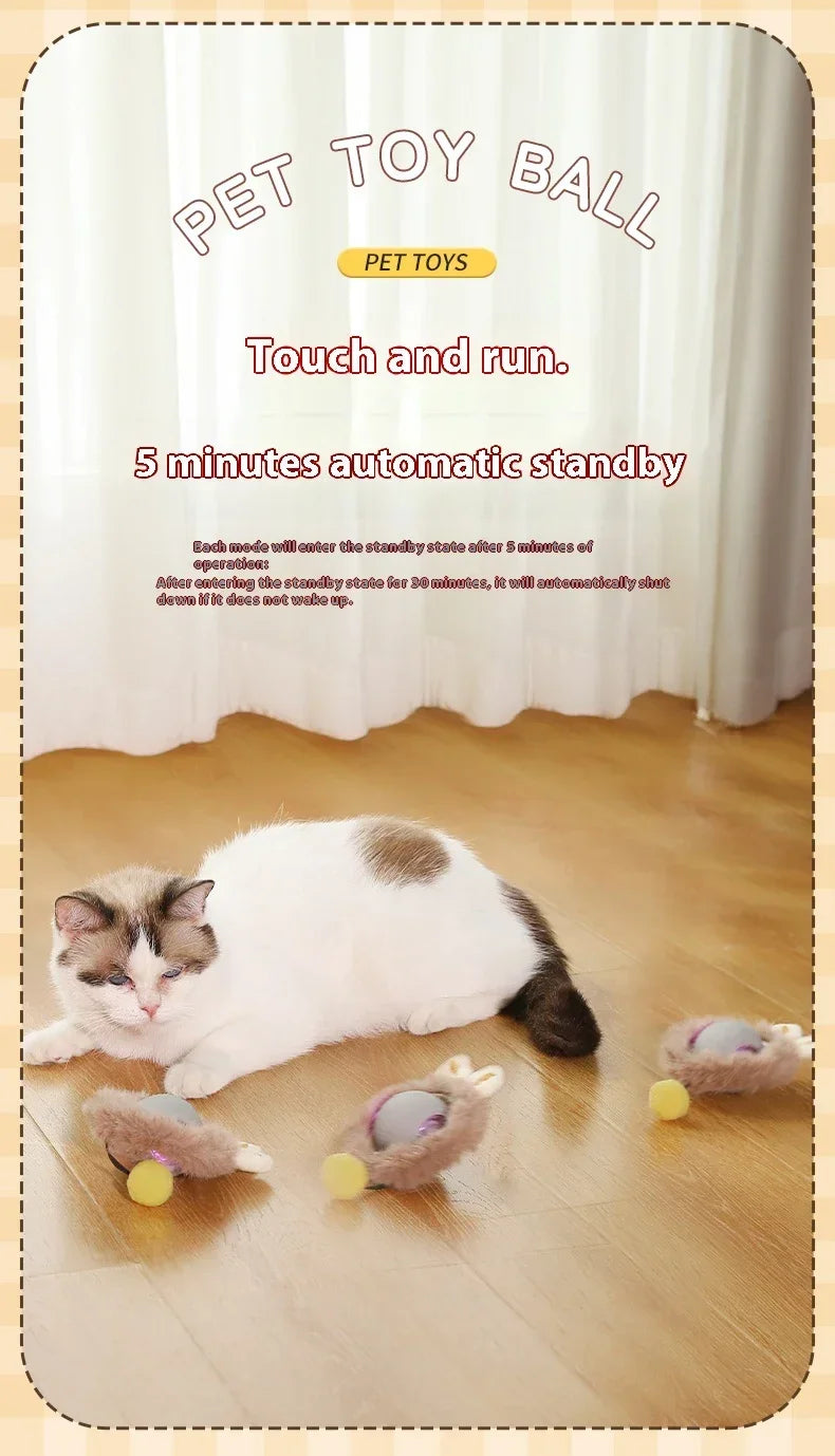Rolling Ball Toys for Cats