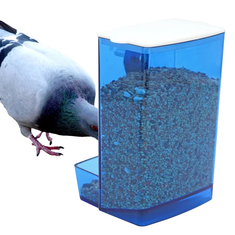 Blue plastic bird feeder with perch – pigeon feeding from anti-spill seed container