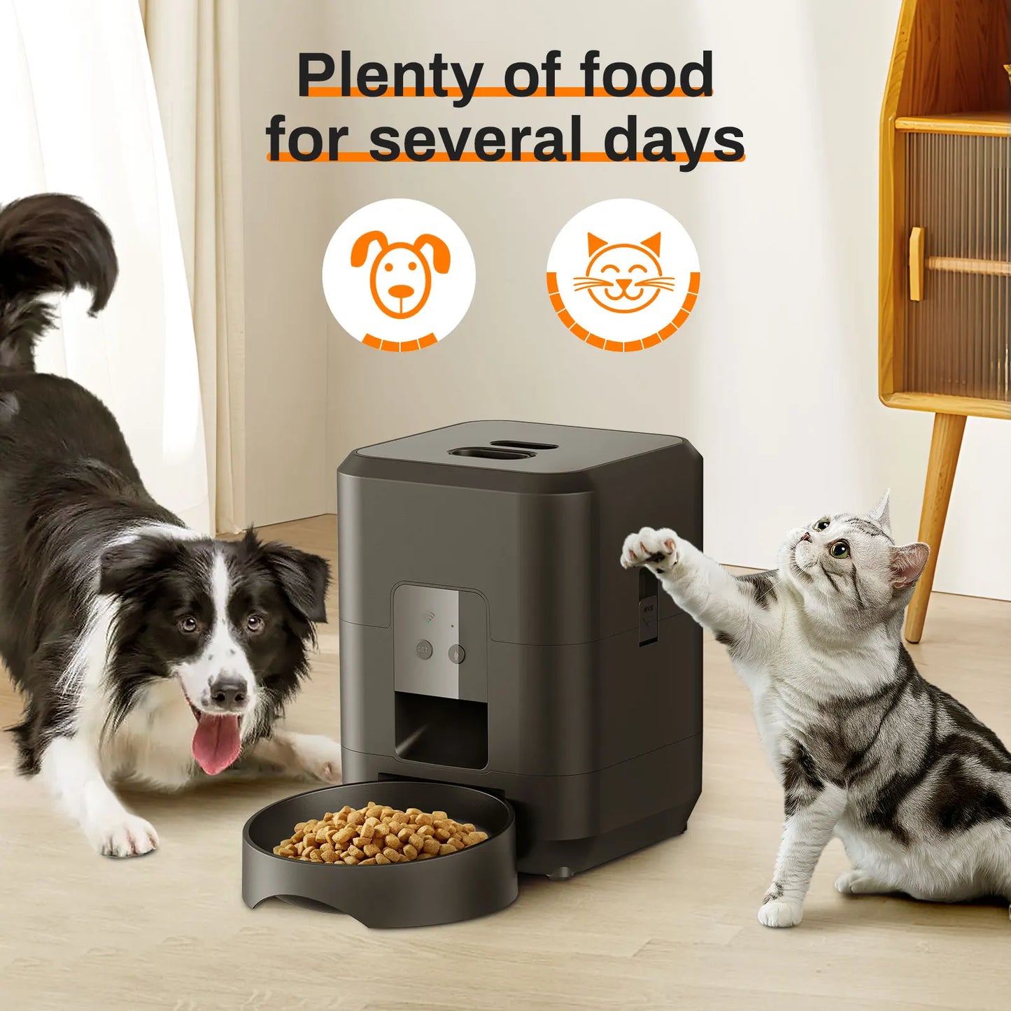 Smart Pet Automatic Feeder