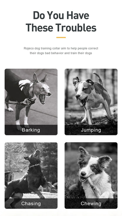 1000m Electric Dog Training Collar with Remote Control