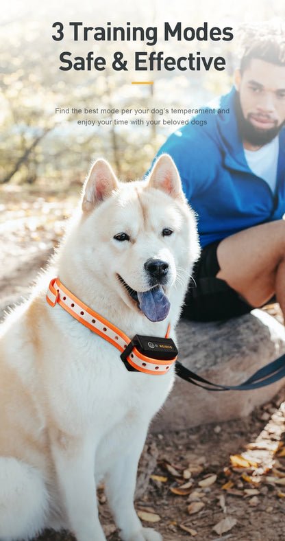 1000m Electric Dog Training Collar with Remote Control