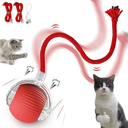Rolling Ball Toys for Cats