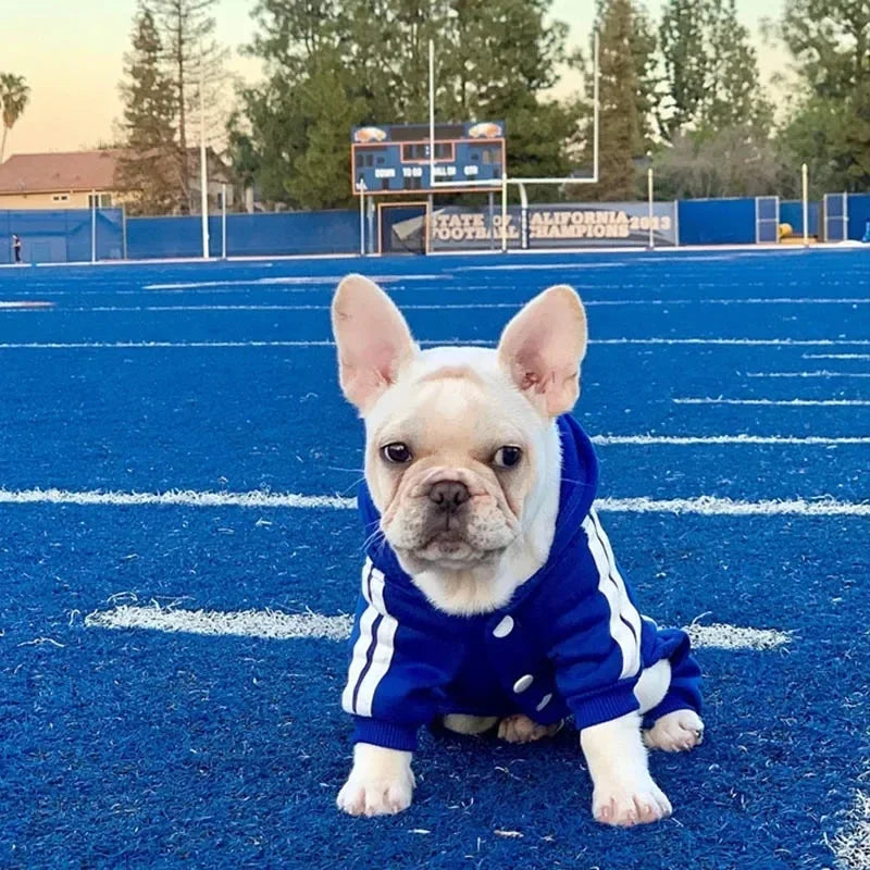 Pet Jumpsuit