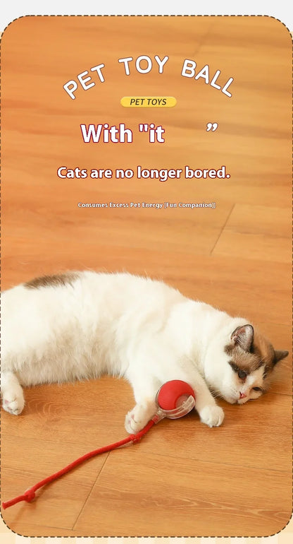 Rolling Ball Toys for Cats