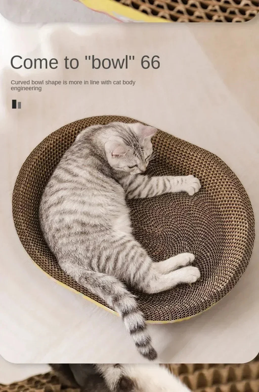 Cat Scratching Board