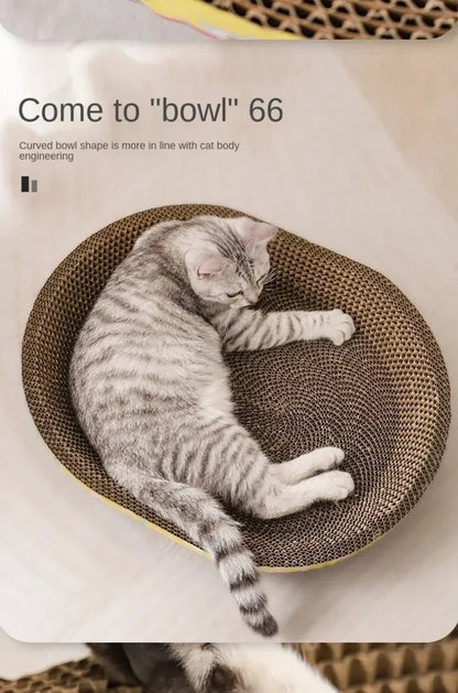 Cat Scratching Board