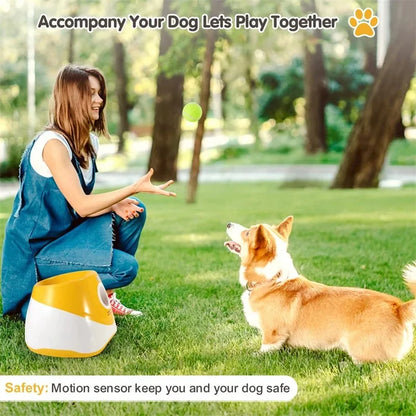 Automatic Dog Tennis Ball Launcher Rechargeable Catapult 6 Ball