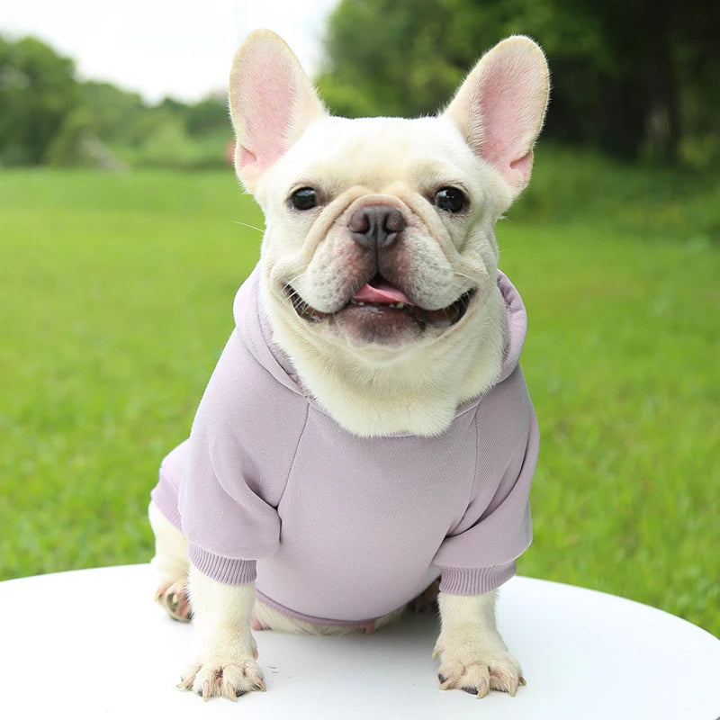 Autumn And Winter Hooded Sweater Pet Clothes