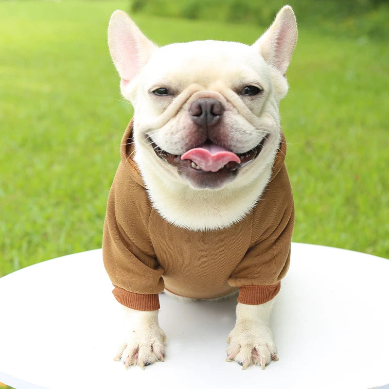 Autumn And Winter Hooded Sweater Pet Clothes