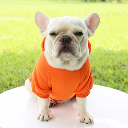 Autumn And Winter Hooded Sweater Pet Clothes