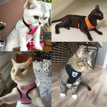 Adjustable Mesh Pet Harness