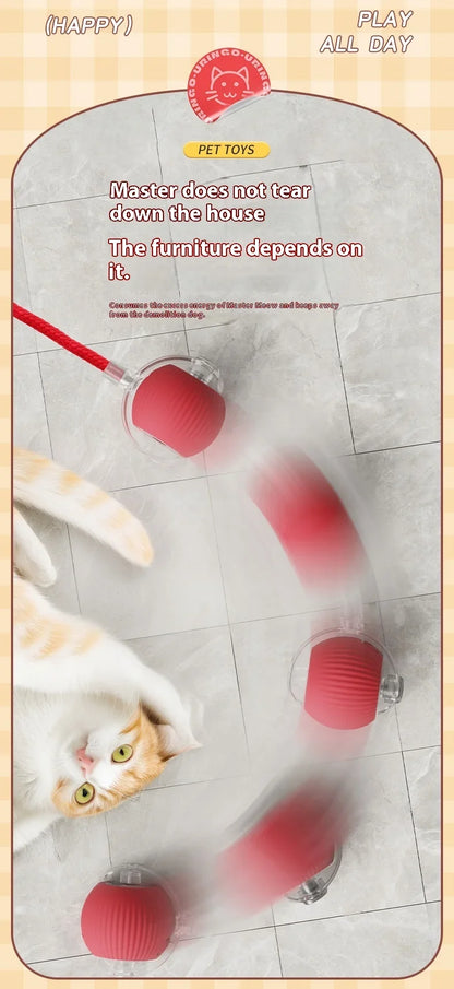 Rolling Ball Toys for Cats