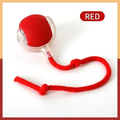 Rolling Ball Toys for Cats