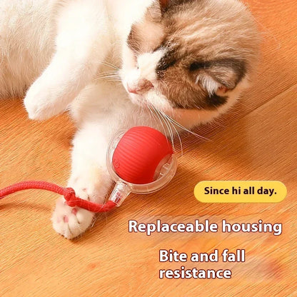 Rolling Ball Toys for Cats