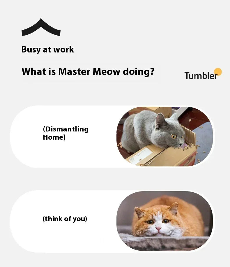 Rolling Ball Toys for Cats