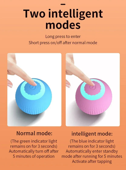 Rolling Ball Toys for Cats