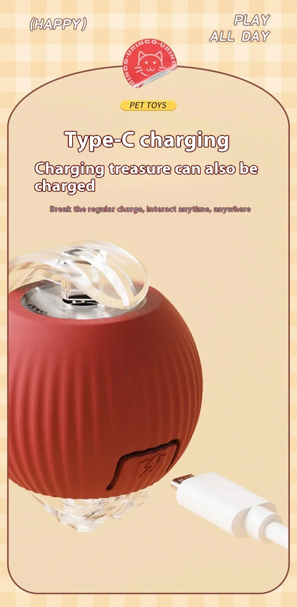 Rolling Ball Toys for Cats