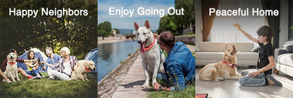 1000m Electric Dog Training Collar with Remote Control