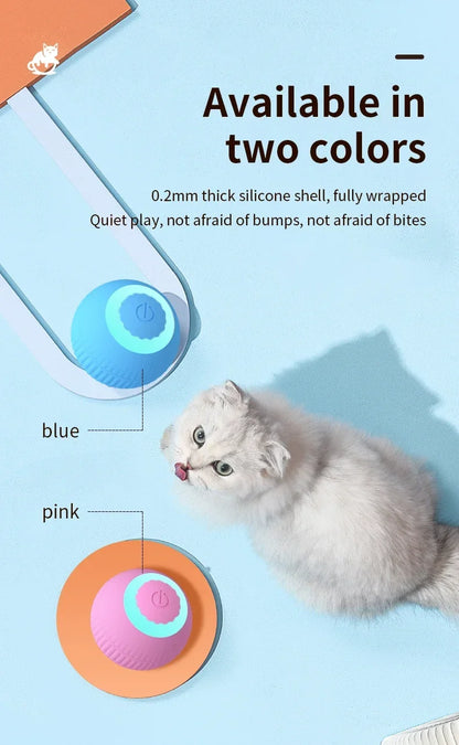 Rolling Ball Toys for Cats