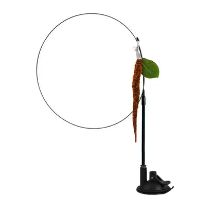 Simulation Bird Cat Toy – Suction Cup Feather Teaser Wand for Play