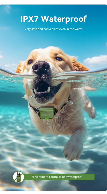 Electric Dog Training Bark Stop Collar With Remote Control
