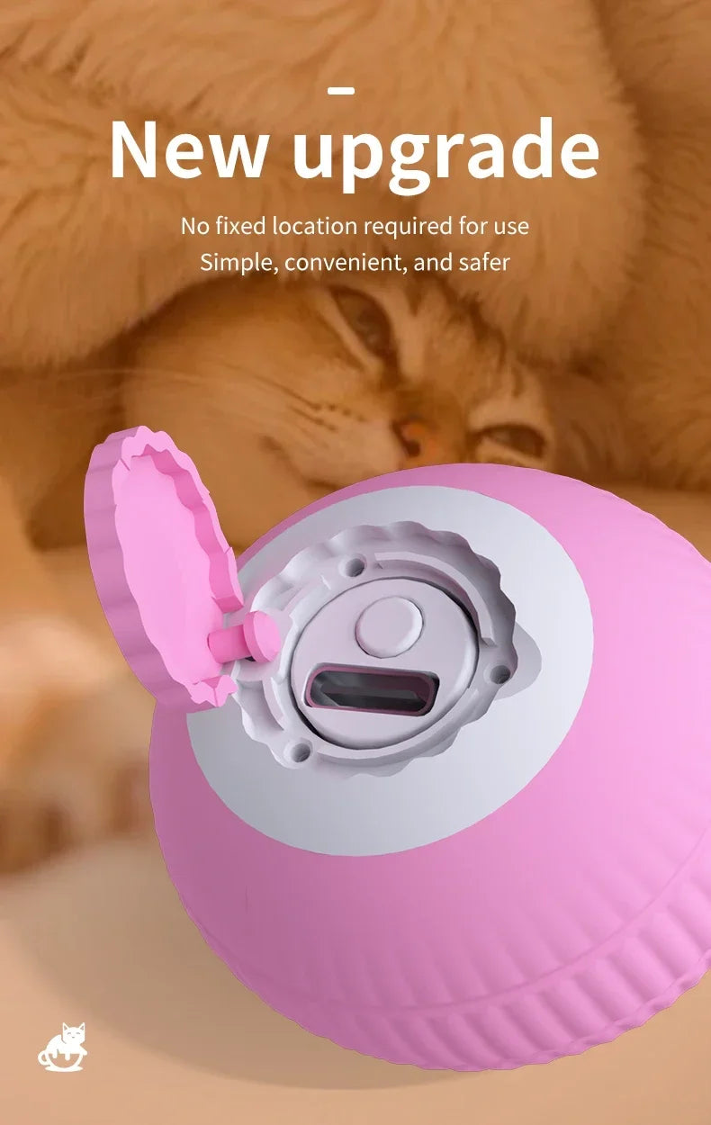 Rolling Ball Toys for Cats