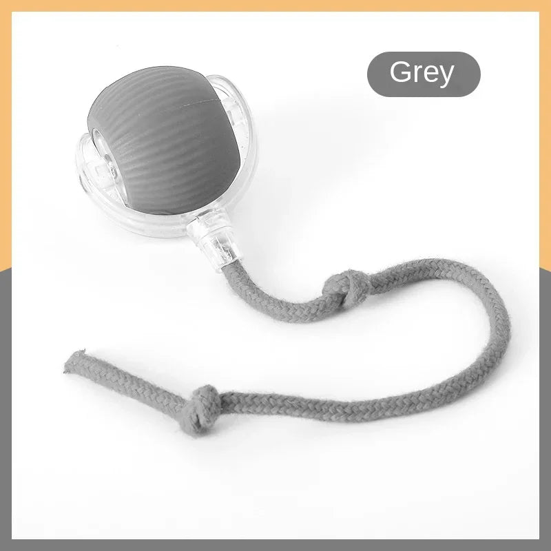 Rolling Ball Toys for Cats