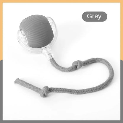 Rolling Ball Toys for Cats