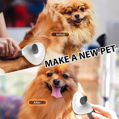 Pet Hair Brush