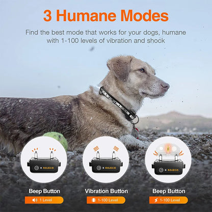 1000m Electric Dog Training Collar with Remote Control