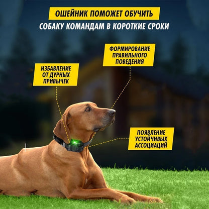 Dog Training Collar Waterproof Rechargeable