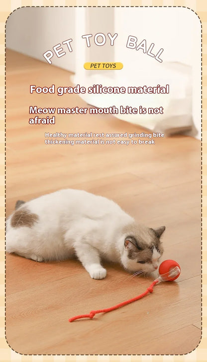 Rolling Ball Toys for Cats