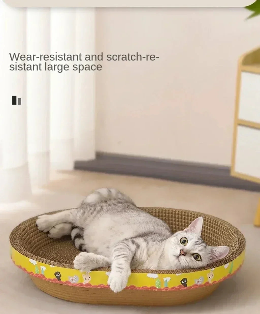 Cat Scratching Board