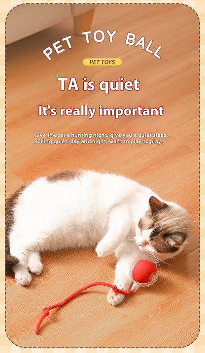 Rolling Ball Toys for Cats