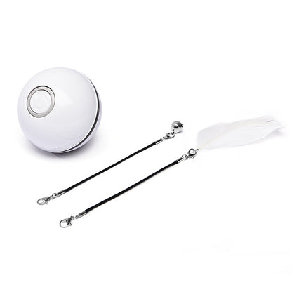 Smart USB Rechargeable Pet Interactive Rolling Ball
