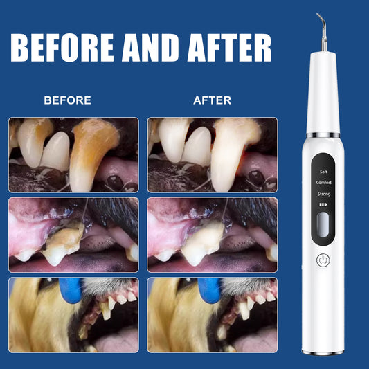 Professional Pet Dental Cleaning Kit - Ultrasonic Scaler, Tools & 3 Modes